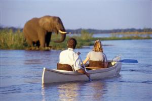 kayak-safari-on-the-zambezi-river-with-transport-from-livingstone-in-livingstone-145506