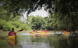 kayak-safari-peñas-blancas-1