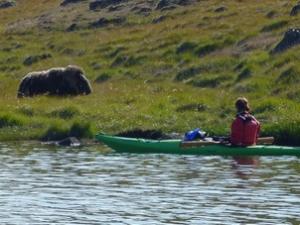 kayakmid 1982