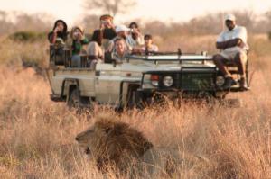 ssafari3